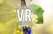 Weingut-Deis-Virtuelle-Rebe