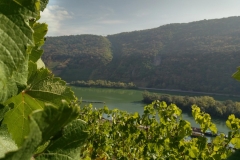 Würzlay-Blick-auf-die-Mosel